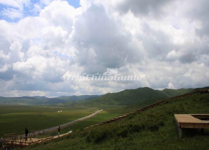 Hongyuan Grassland Sichuan Hongyuan Grassland Pictures Hongyuan Grassland Sichuan Hongyuan Grassland Pictures
