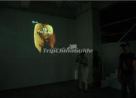 Face Changing-A Thousand Plateaus Art Space