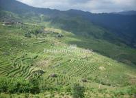 Ancient Zhuang Village Longsheng 