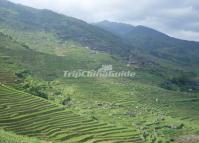 Ancient Zhuang Village at Longsheng 