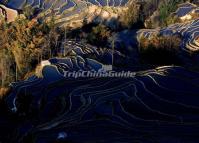 Bada Rice Terraces Picture