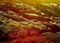 The Beautiful Bada Rice Terraces in Yuanyang