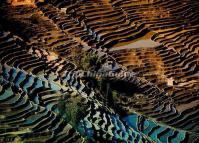 Bada Rice Terraces Yuanyang China 