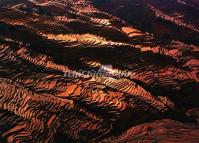 Bada Rice Terraces Landscape 