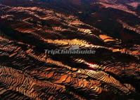 The Rice Terraces at Yuanyang Bada Scenic Area