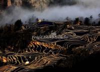 Bada Rice Terraces Yuanyang County Yunnan China 