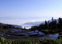 Bada Rice Terraces Charming Scenery Yuanyang 