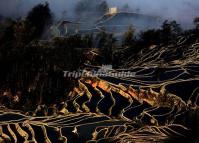 Charming Bada Rice Terraces