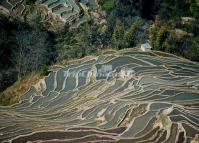 Yuanyang Bada Rice Terraces