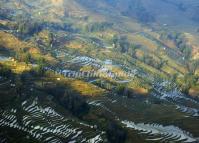 Bada Hani Rice Terraces