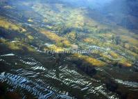 Wonder of Bada Rice Terraces