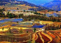 Bada Rice Terraces Yuanyang County Yunnan