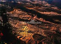 Bada Rice Terraces-World Cultural Heritage