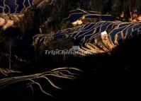 Bada Rice Terraces Scenic Spot 