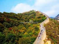 Badaling Great Wall in Autumn