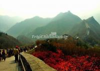 Badaling Great Wall in Fall