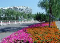 Beijing National Stadium China