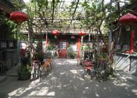 A Curyard in Beijing Hutongs