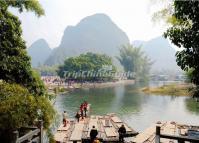 Big Banyan Tree Yangshuo