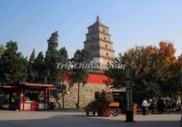Big Wild Goose Pagoda Landscape Xian 