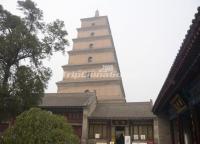 Big Wild Goose Pagoda Scenic Spot Xian 