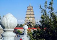 Big Wild Goose Pagoda Scenery 