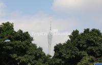 Canton Tower Landscape Guangzhou