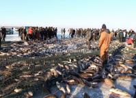 Chagan Lake Attracts Many Tourists in Winter