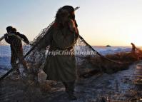 Three Fishers Collect Their Fishing Net in Chagan Lake