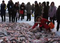 Chagan Lake Fishing Tour