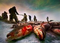 Chagan Lake is A Famous Winter Photo Destination in China 
