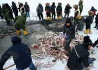 Chagan Naoer Winter Fishing