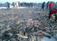 Chagan Lake Fishing
