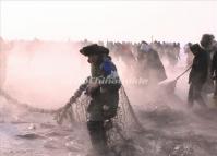 The Workers Are Fishing Chagan Lake
