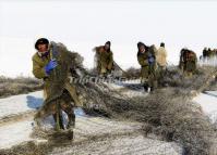 The Fishers in Chagan Lake Arrange Their Fishing Nets