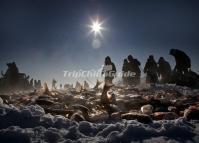 Ice Fishing in Chagan Lake