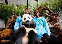 NBA Players and Pandas in Chengdu