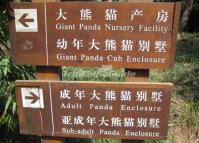 Chengdu Research Base of Giant Panda Breeding Road Marking