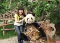 Photo with Panda in Chengdu