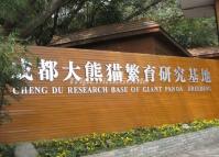 Chengdu Research Base of Giant Panda Breeding Sichuan China