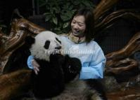 Chengdu Research Base of Giant Panda Breeding China