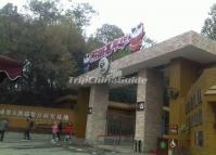 Chengdu Research Base of Giant Panda Breeding