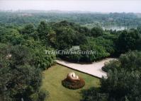 Chengdu Research Base of Giant Panda Breeding Scenery