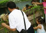 Tourists Feed the Animals at Chengdu Zoo