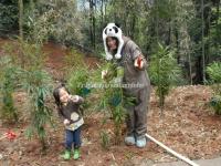 China Conservation and Research Center for the Giant Panda Dujiangyan Base