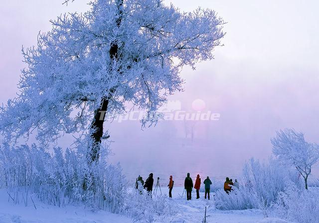 China Nine Beautiful Snow Resorts