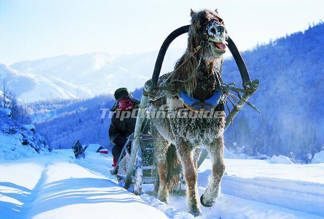 China Nine Beautiful Snow Resorts