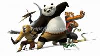 China Panda Culture 