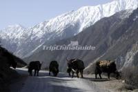 China's Top Ten Most Beautiful Roads