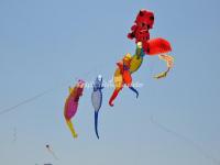 Chinese Kite - Animals 